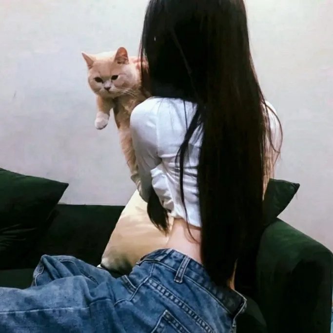 哈喽，酷狗